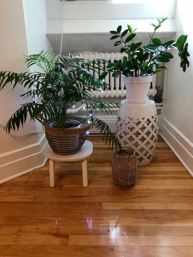 Jules & Jim Apartman Montréal Kültér fotó